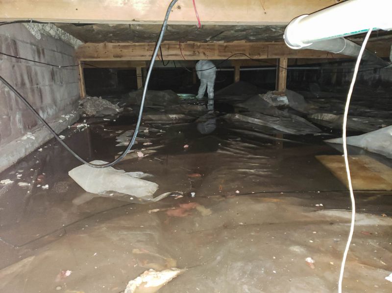 Basement Water Removal in Scottsdale, AZ