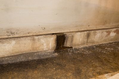Prevent Mold Growth!